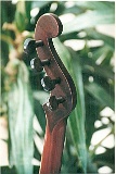 boucherbackbig