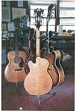 minibackbig